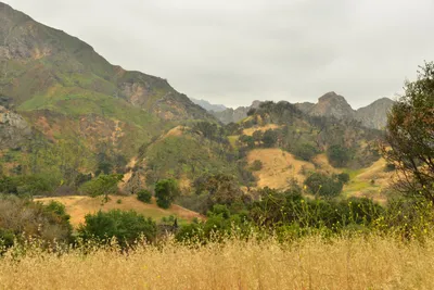 DSC_6507 (Large).JPG